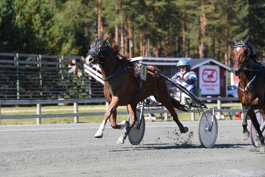 Cornelia Teemer mål 309.jpg
