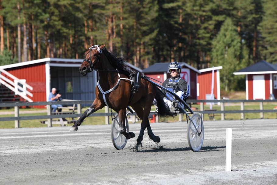 Tumble Boy mål 4240.jpg