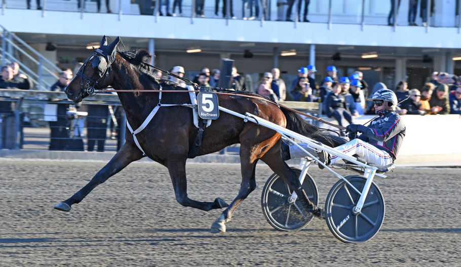 Borups Tornado Tr Bild.jpg