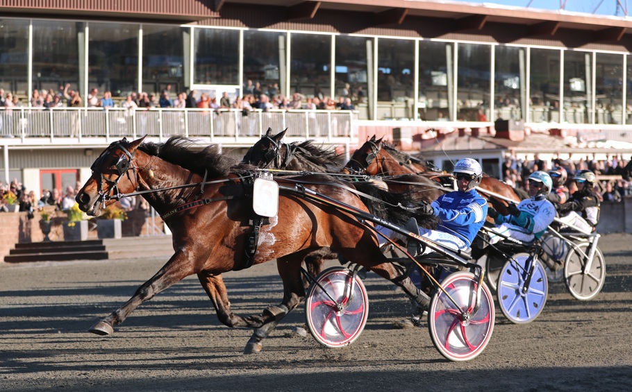 Unico Broline Romme.jpg