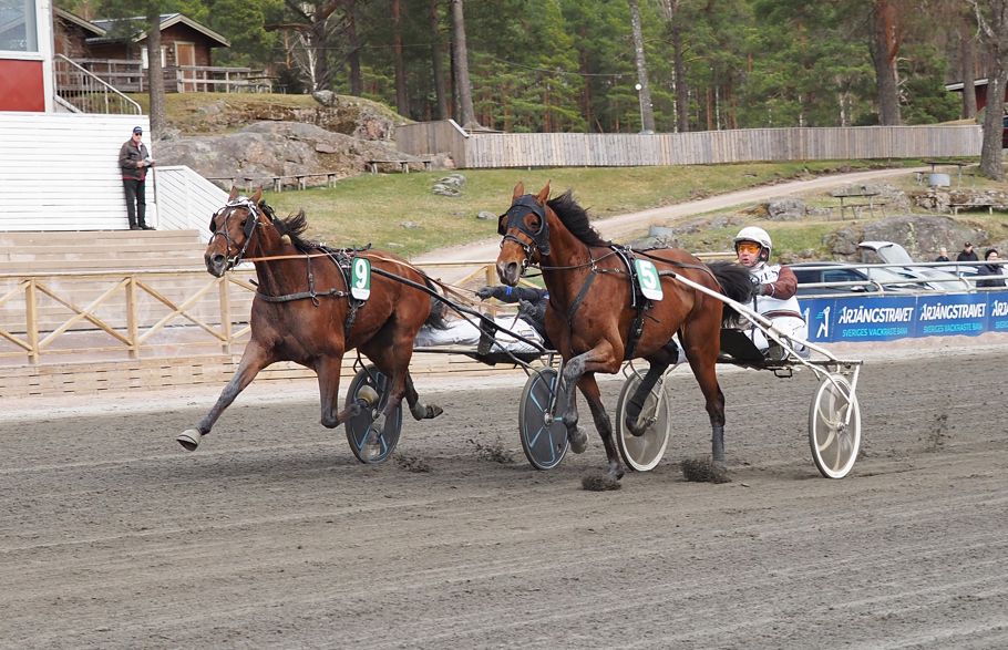 Vinnare av lopp 4 Dats So Cool (9) o Carl Johan Jepson (.jpg
