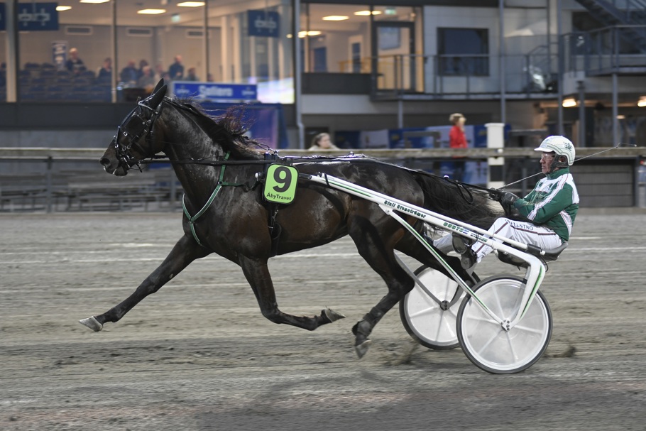 Django Silver Åby Foto Sidmakarn.jpg