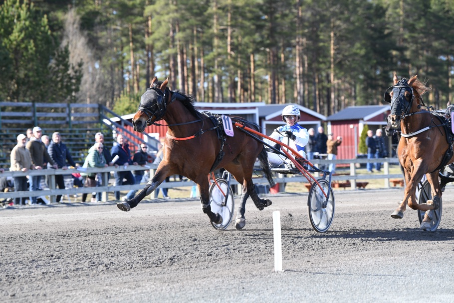 Milos Ganador MVA Foto.jpg
