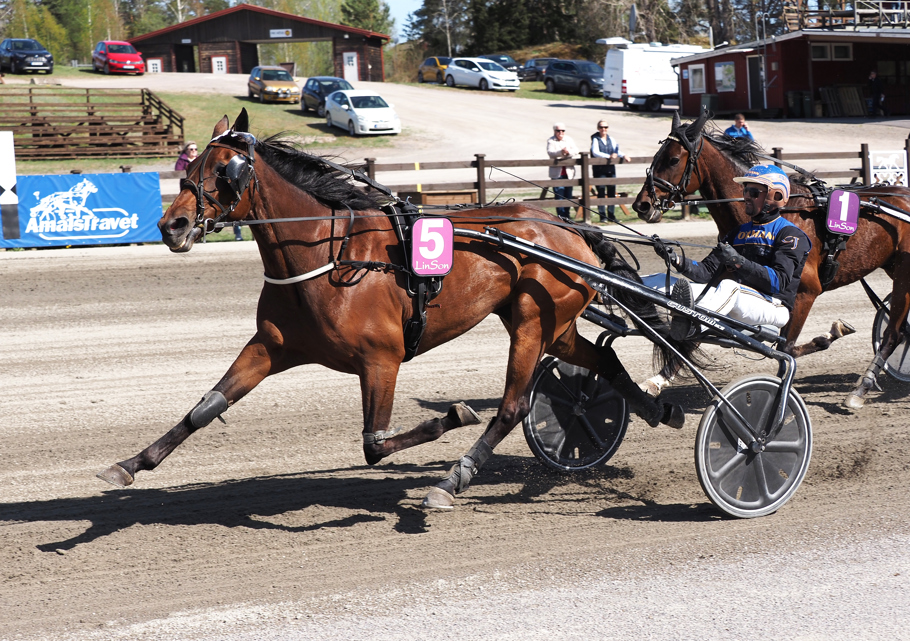 Vinnare av lopp 8 Fluttershy A.F. o Carl Johan Jepson.jpg