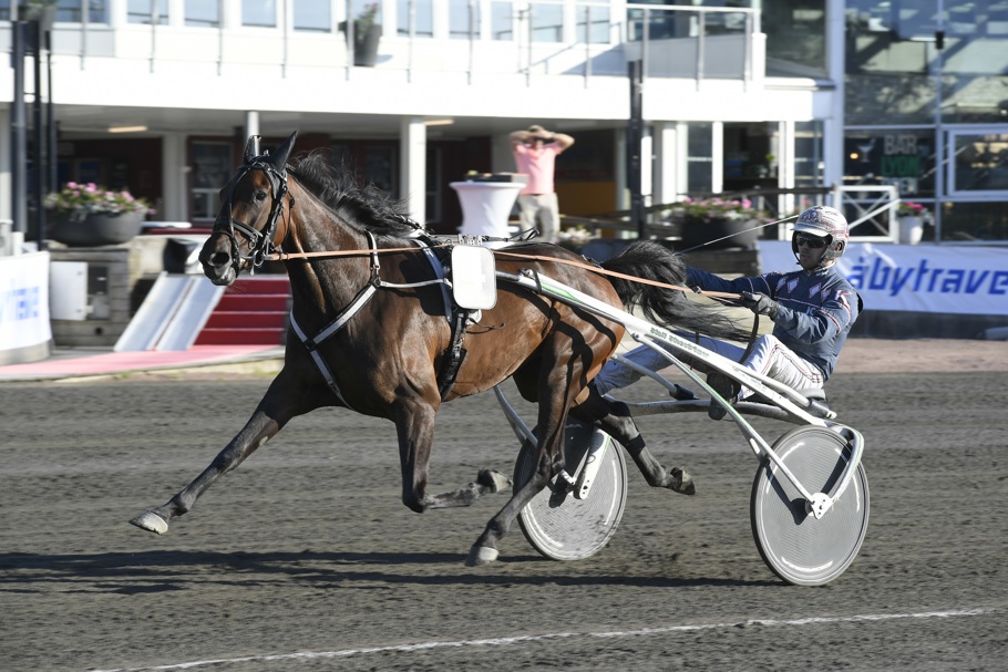 Honfleur Mearas Sidmakarn.jpg