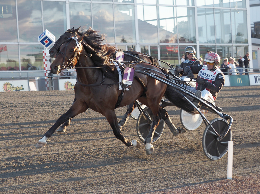 Vinnare av lopp 8 Stepping Dreamboy o Mikael J. Andersson (.jpg