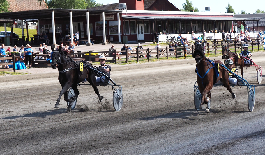 Vinnare av lopp 1 Walking The Wire o Malte Handfast.jpg