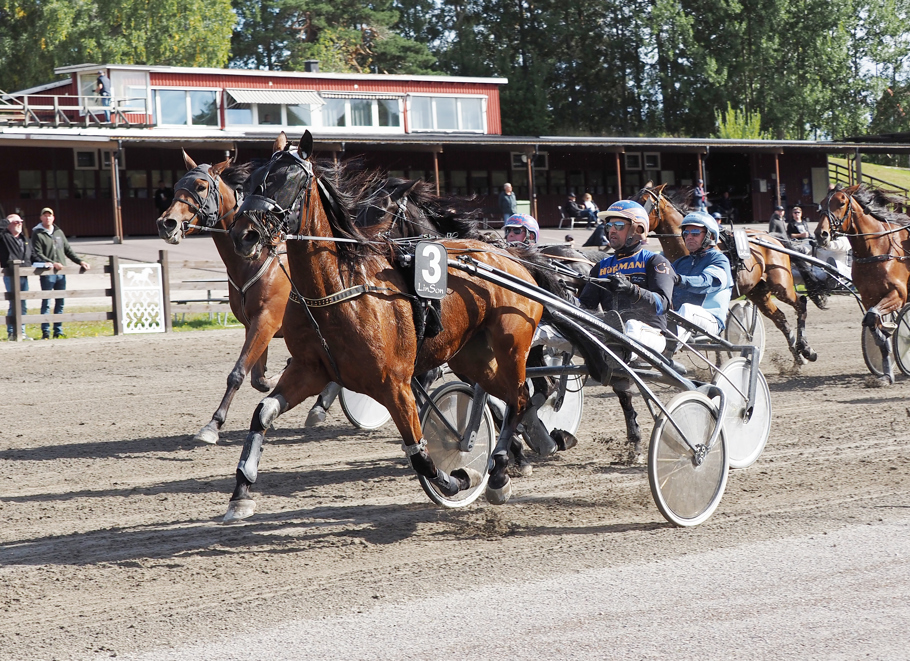 Vinnare av lopp 6 Ess Expression o Carl Johan Jepson (.jpg