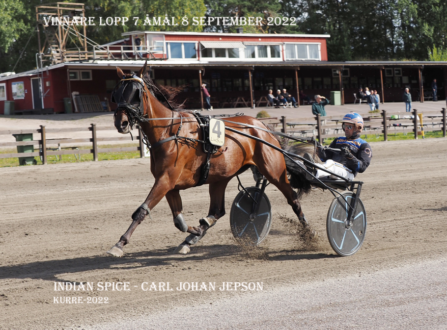 Vinnare av lopp 7 Indian Spice o Carl Johan Jepson ((.jpg