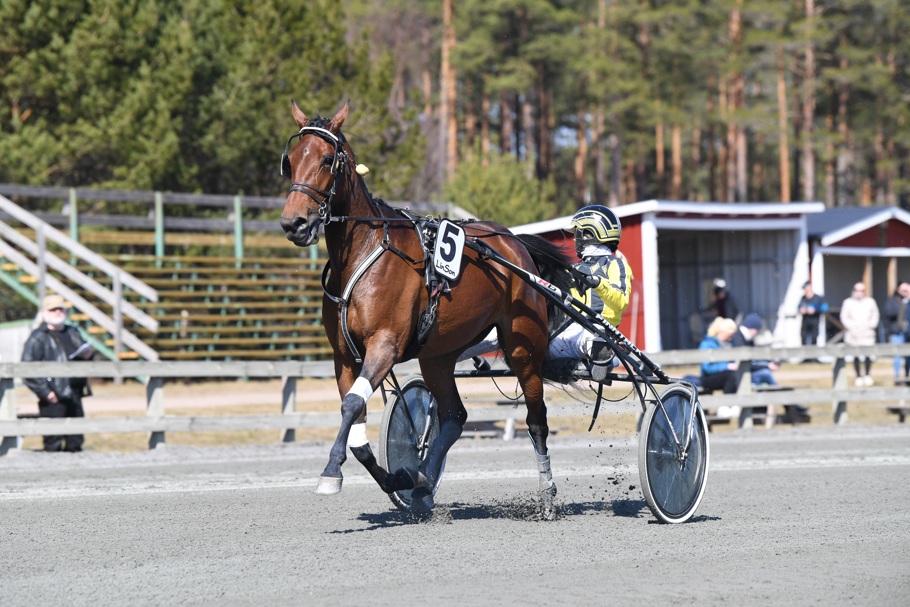Elva Rapid MVA Foto.jpg