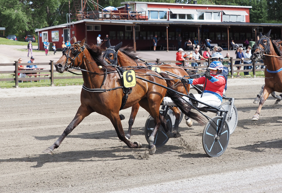 Vinnare av lopp 1 Get Ahead o Enya Gustafsson (.jpg