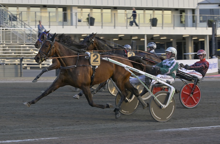 Honfleur Mearas Sidmakarn.jpg