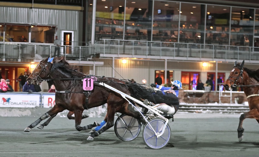 Benita Winner  Tr Bild.jpg