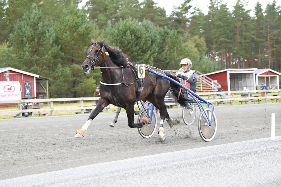 Bull Lock MVA Foto.jpg