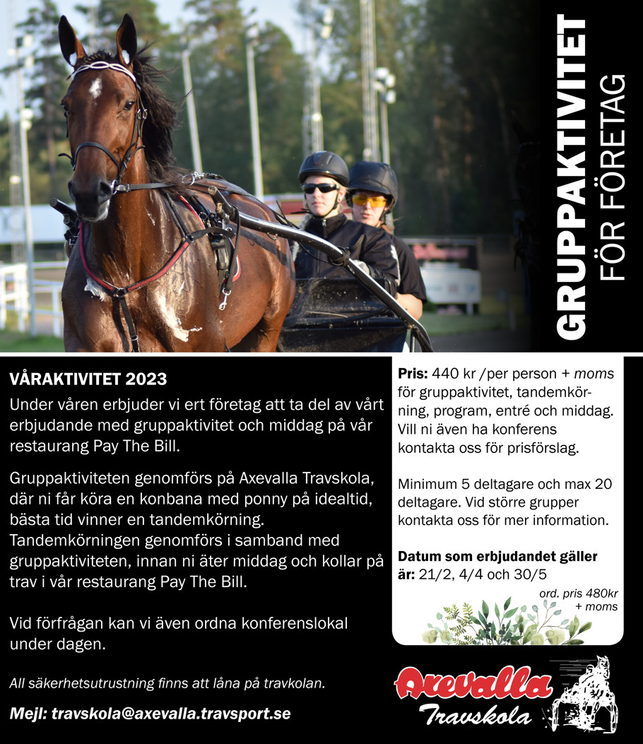 Gruppaktivitet företag 23.jpg