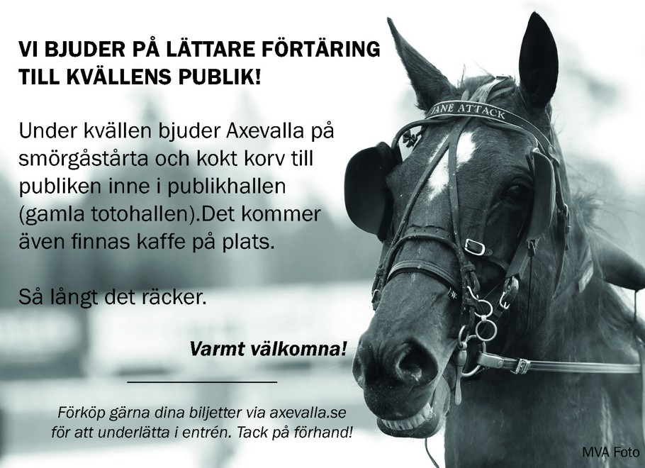 halvsida publik_Sida_1.jpg