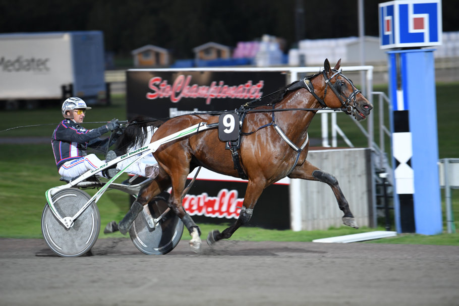 6 Victory Road mål 898.jpg