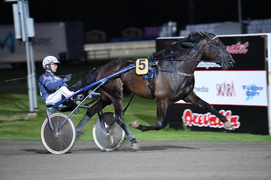 7 Dame De Tailleur mål 36.jpg