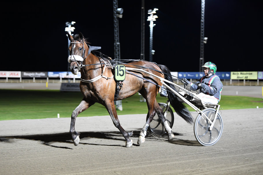 9 Fighter Marke segerdef 6068.jpg
