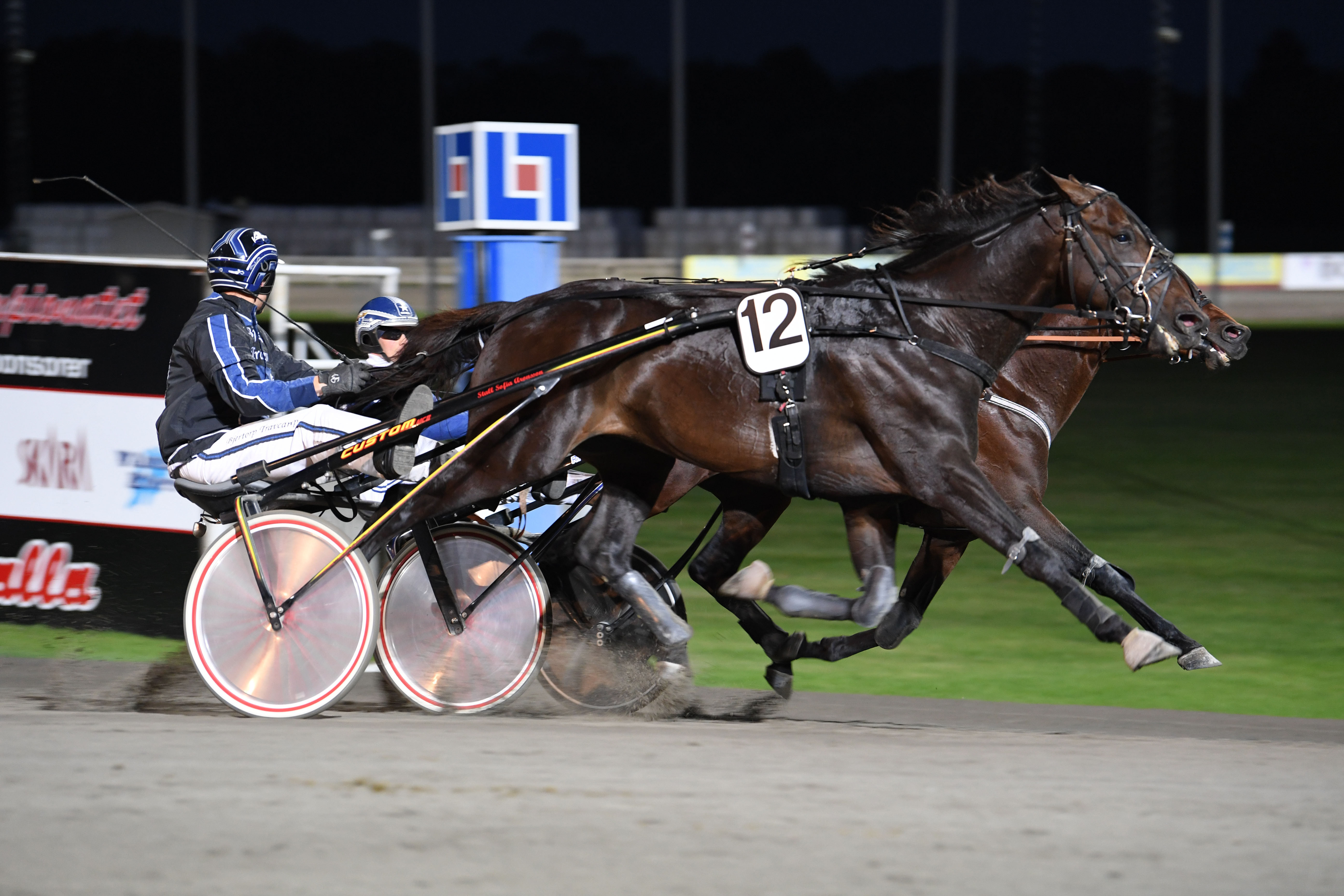 5 Zoccoloduro O.P. mål 28.jpg
