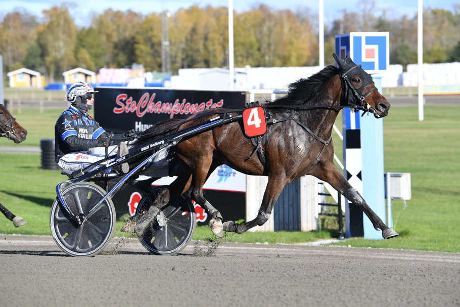 3 Incredible Smart mål 2602.jpg