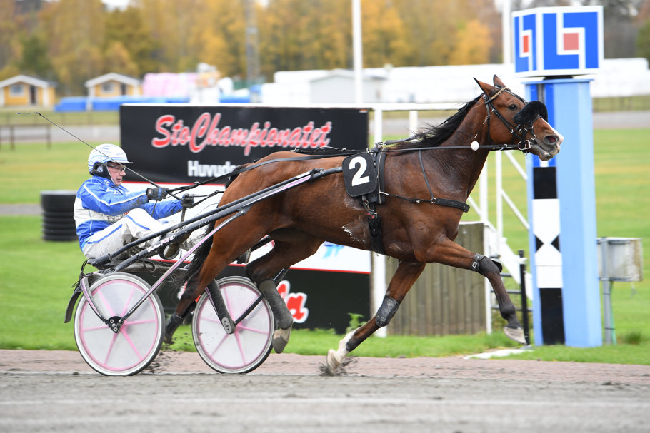 6 Borin T.N. mål 446.jpg