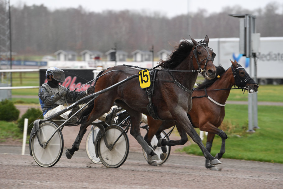 1 Miss Silver mål 951.jpg