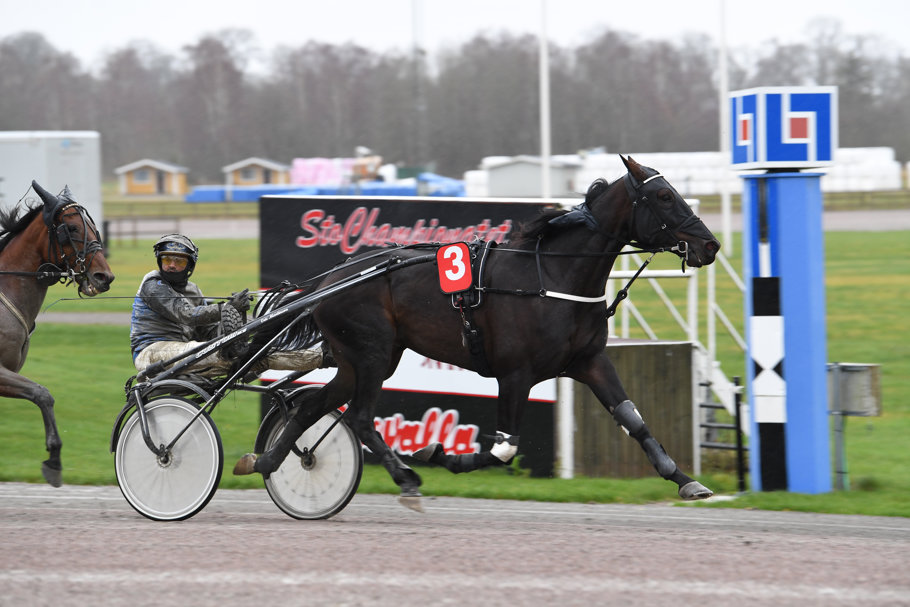 3 Epic Victory mål 054.jpg