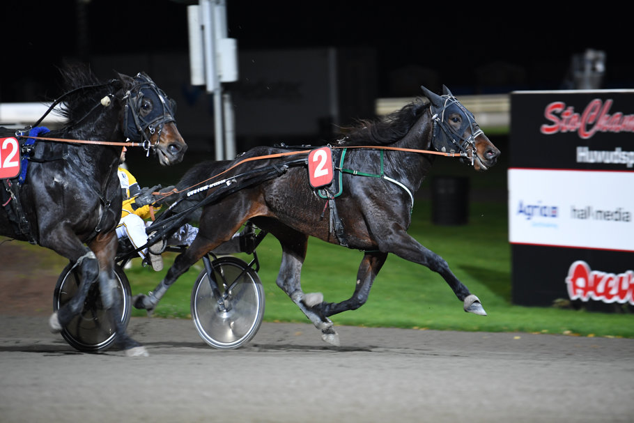3 Gitane D'Inverne mål 99.jpg