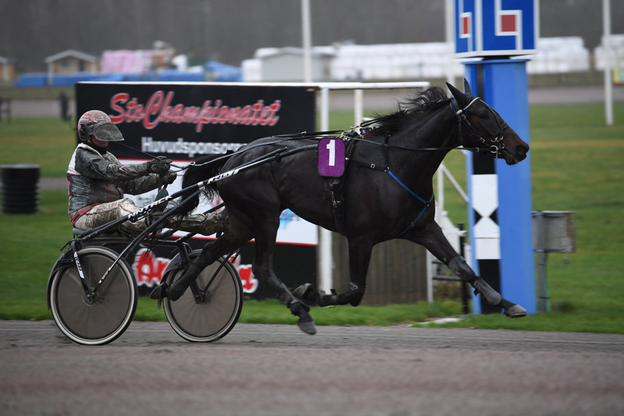 8 Roger Z mål 286.jpg