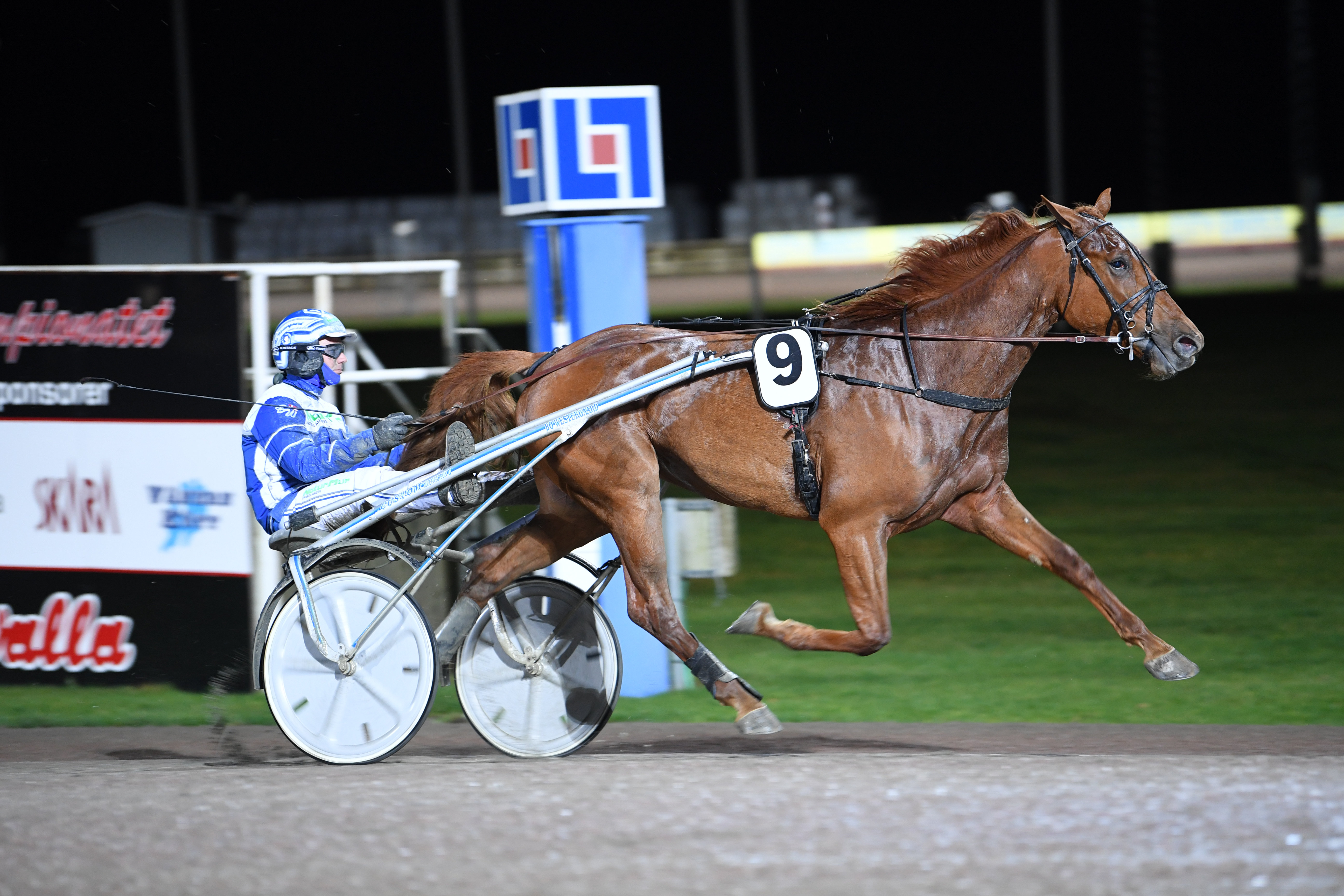5 First In Line E.P. mål 02.jpg