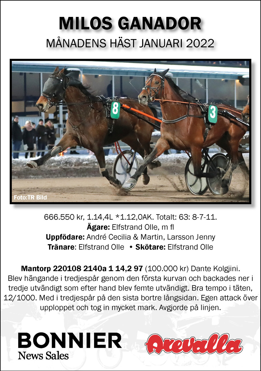Månadens Häst januari 22.jpg