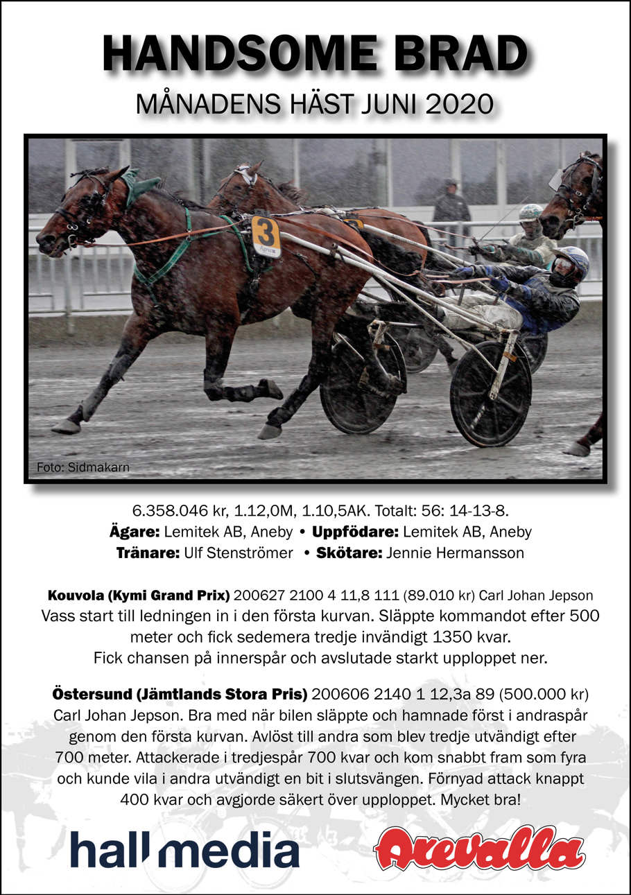 Månadens Häst juni.jpg